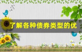 了解各种债券类型的优缺点