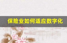 保险业如何适应数字化时代的挑战(数字化时代保险业的数字化转型)