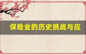 保险业的历史挑战与应对策略