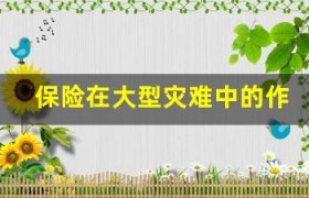 保险在大型灾难中的作用与应对措施