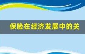 保险在经济发展中的关键角色