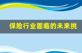 保险行业面临的未来挑战与机遇(2024年保险行业面临的挑战)