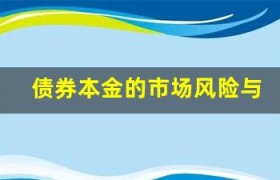 债券本金的市场风险与防范措施分析