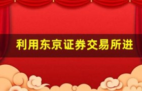 利用东京证券交易所进行期权交易的机会和挑战