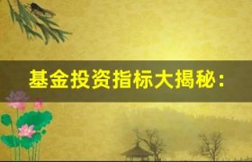 基金投资指标大揭秘：市盈率、市净率该如何看待？