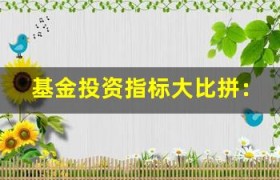 基金投资指标大比拼：哪些指标更能真实反映基金业绩？