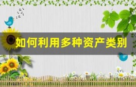 如何利用多种资产类别构建弹性的投资组合