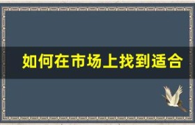 如何在市场上找到适合自己的债券类型？