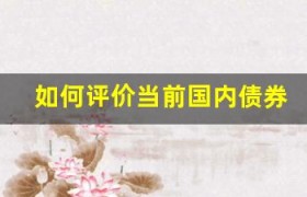 如何评价当前国内债券评级机构的水平？