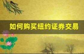 如何购买纽约证券交易所上市的股票？