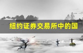 纽约证券交易所中的国际公司