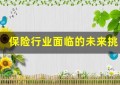 保险行业面临的未来挑战与机遇(2024年保险行业面临的挑战)